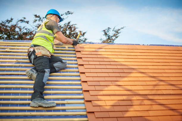 Best Asphalt Shingle Roofing  in Sauk Centre, MN